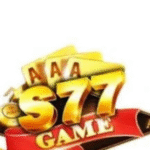 S77 Game