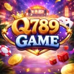 Q789Game